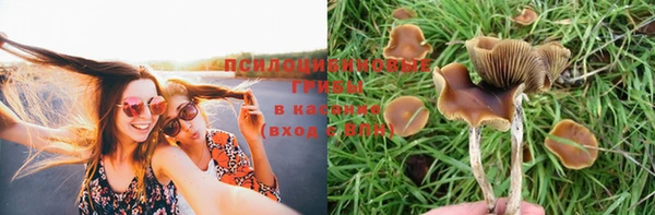 герыч Алексеевка