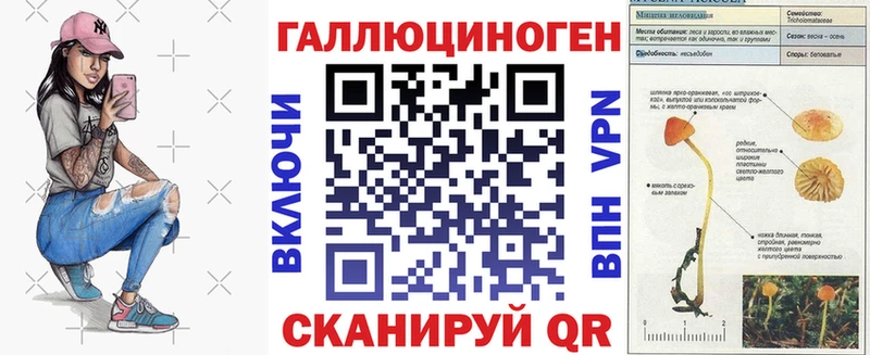 где можно купить наркотик  OMG ONION  Псилоцибиновые грибы ЛСД  Юрьев-Польский 